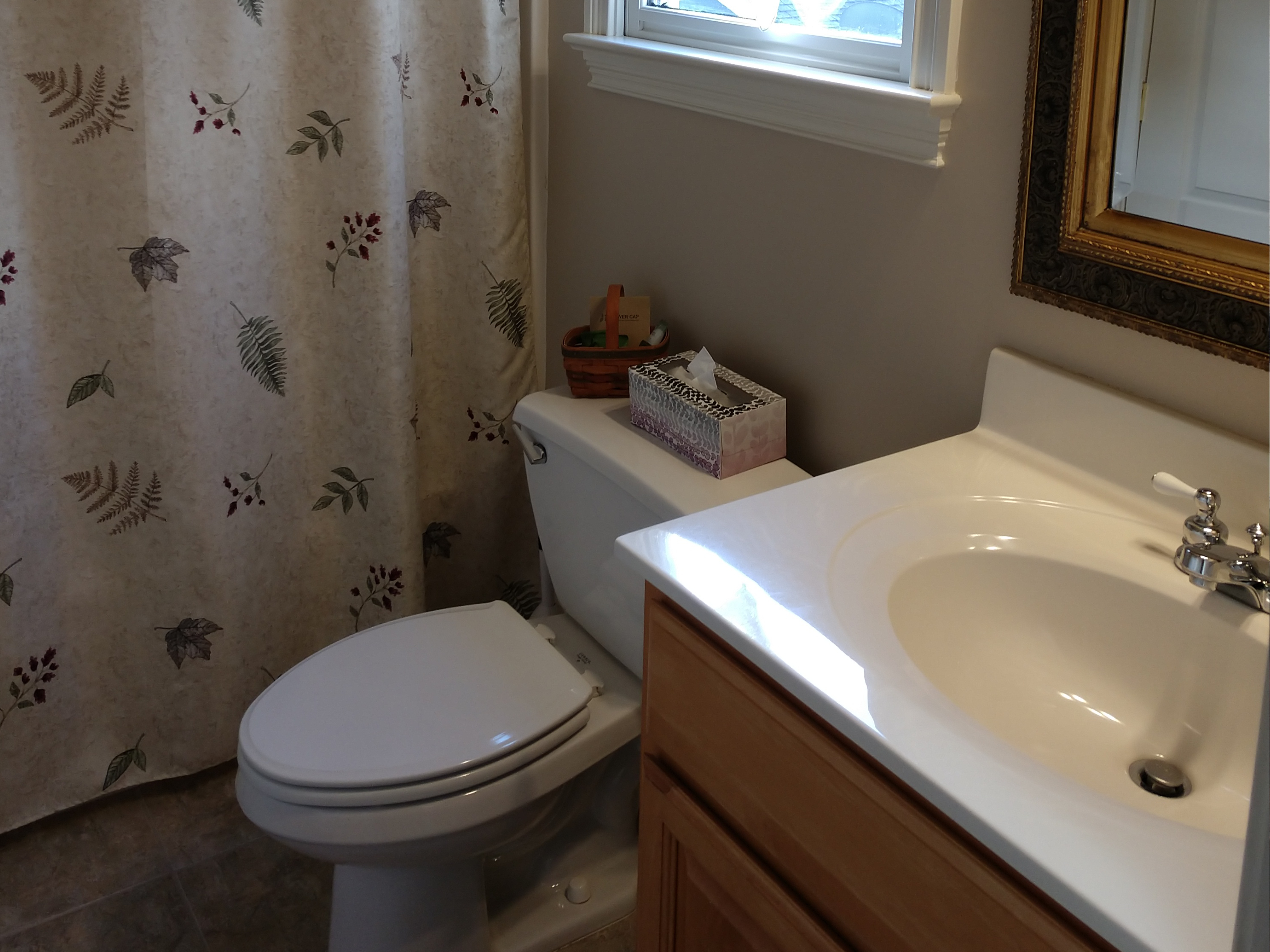 Green guest bathroom at Haynes Bed and Breakfast